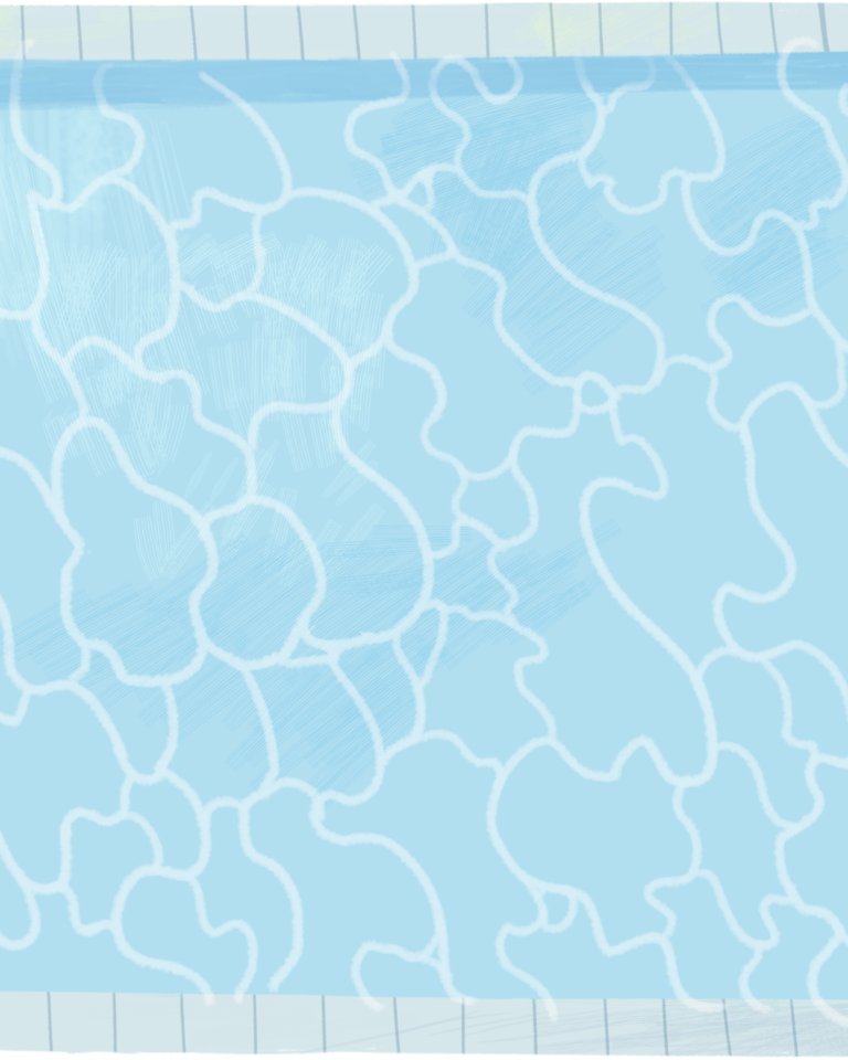 Wann wird das Schwimmbad in der Holzmarktstraße endlich Realität?